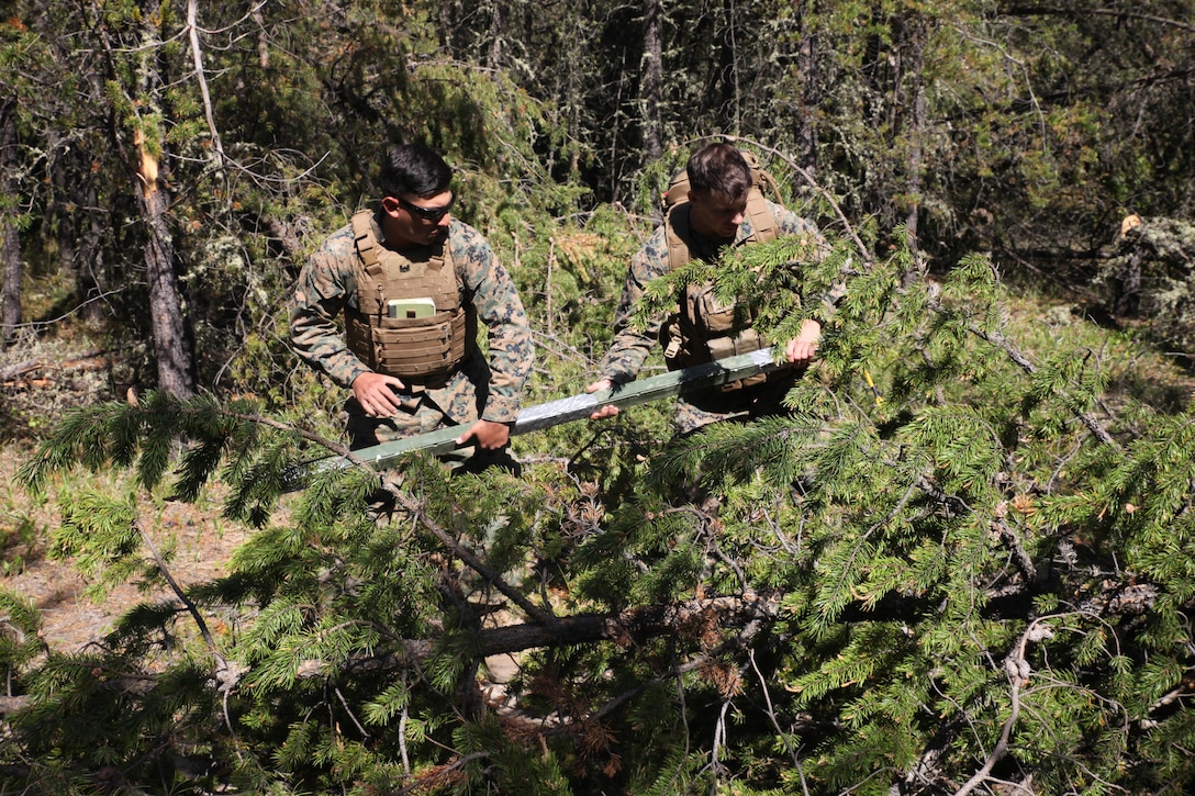 COLD LAKE, AB, CANADA – Sgt. Marco Ramos and Sgt. Michael Nadon, combat engineers with Engineer Company, Detachment Bravo, Marine Wing Support Squadron 473, 4th Marine Aircraft Wing, Marine Forces Reserve, place a field expedient Bangalore torpedo to clear an abatis created by Canadian Armed Forces members, May 28, 2017 as part of exercise Maple Flag 50. Maple Flag is an annual, international military training event that maintains the alliance with Canadian and multinational air and ground forces.