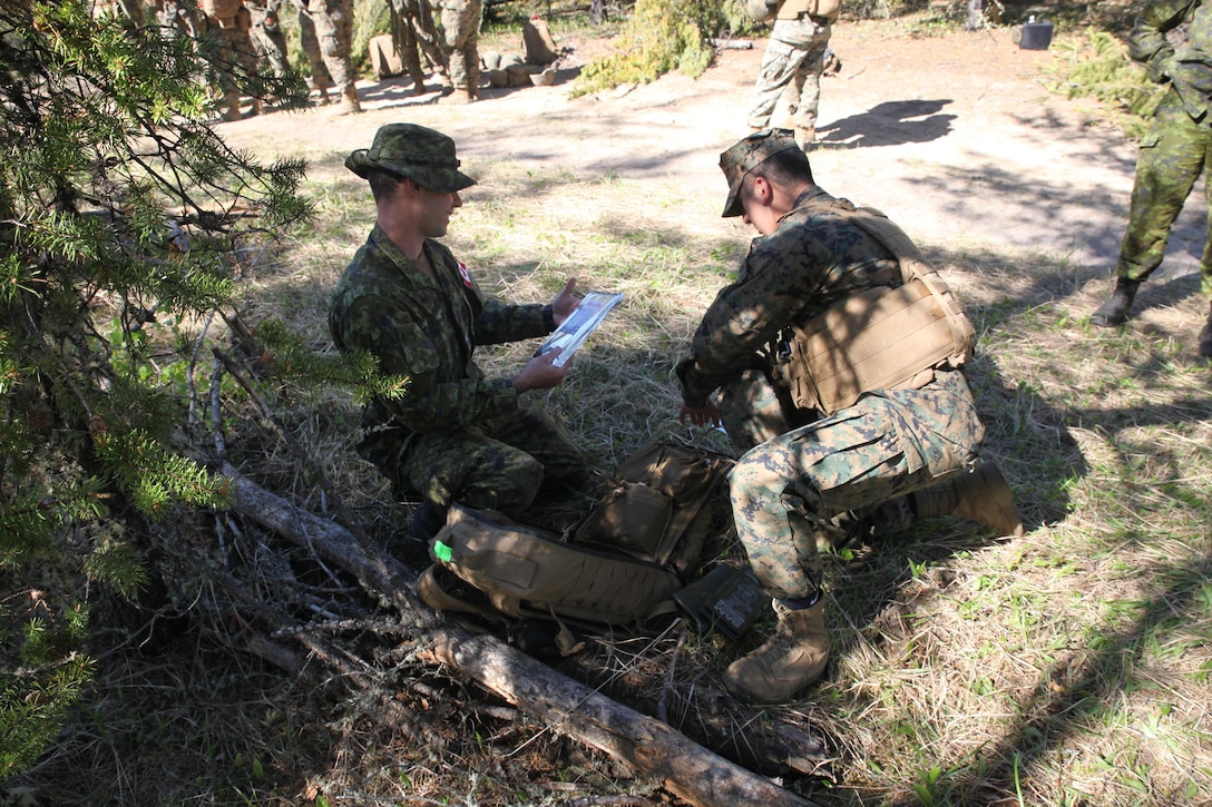 Warrant Officer Regenald McDonald, a Royal Canadian Air Force construction engineer with 4 Construction Engineering Squadron, speaks to Marines with Engineer Company, Detachment Bravo, Marine Wing Support Squadron 473, 4th Marine Aircraft Wing, Marine Forces Reserve, about engineering obstacles, May 28, 2017. Marines cleared an abatis created by Canadian Armed Forces members as part of exercise Maple Flag 50.