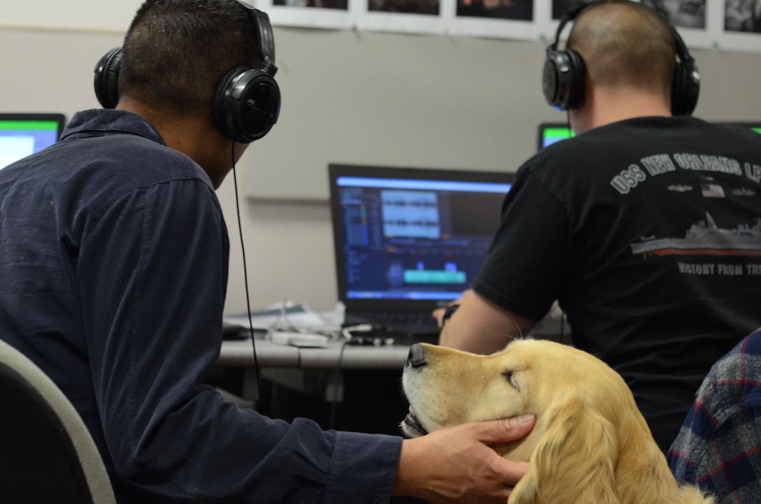 Cadence, a service dog, provides comfort to Rod Foliente, an Intermediate Photojournalism Course instructor, as he coaches students at Defense Information School on Fort Meade May 15, 2017 as students go to class. Cadence has become a welcome addition to the DINFOS family since Foliente brought Cadence to DINFOS on April 4, 2017. 