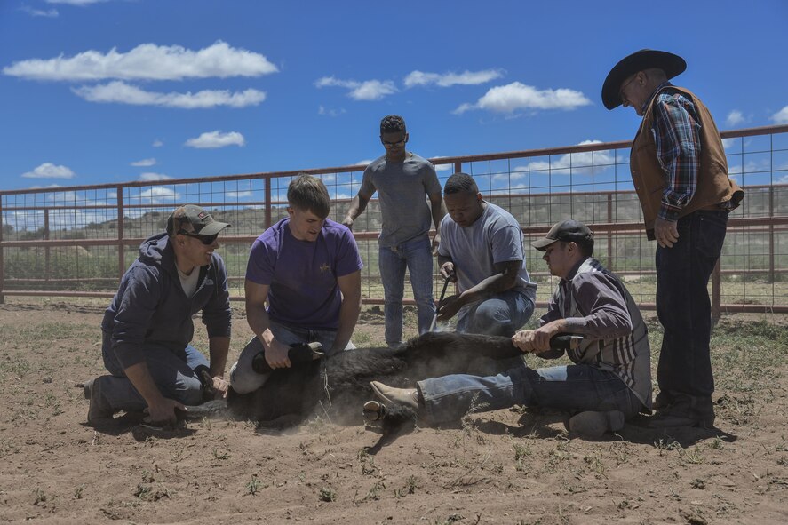 Kirtland Airmen visited the 4 Daughters Ranch to try their skills as ranch hands May 19. The ranch, owned and operated by Mike Mechenbier, the 58th Special Operations Wing’s honorary commander. Airmen had the opportunity to administer shots, clip ears, and brand three-month-old calves.