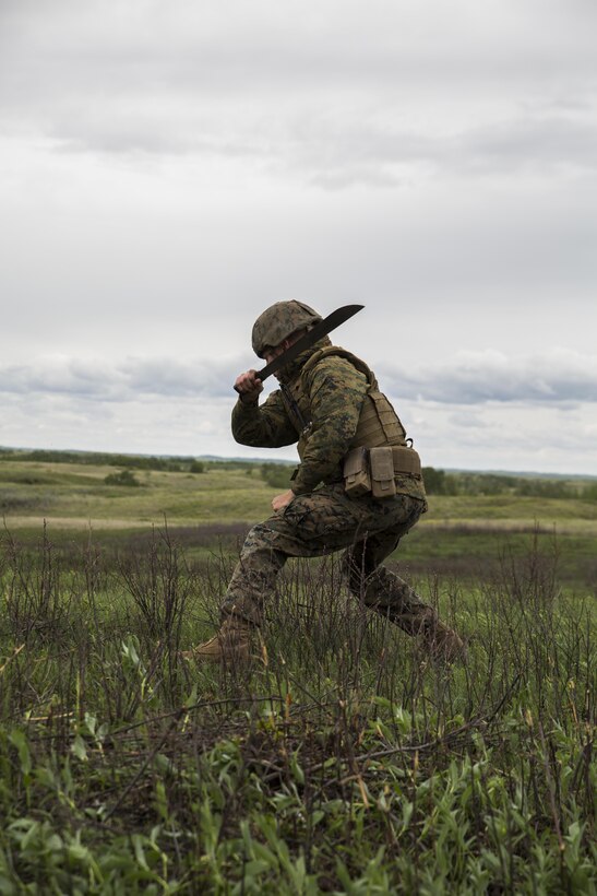 Marines with 3rd Air Naval Gunfire Liaison Company, Force Headquarters Group, Marine Forces Reserve, and Canadian Soldiers from 2 Royal Canadian Regiment search for possible enemy targets at night May 26, 2017, during exercise Maple Resolve 2017, to provide surface-to-surface as well as air-to-surface fire support. Exercise Maple Resolve is an annual, 3-week multinational simulated war, hosted by the Canadian Army bringing approximately 7,000 total NATO allies across the world to share tactics while strengthening foreign military ties.