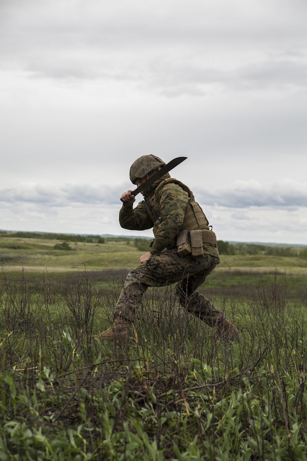 Marines with 3rd Air Naval Gunfire Liaison Company, Force Headquarters Group, Marine Forces Reserve, and Canadian Soldiers from 2 Royal Canadian Regiment search for possible enemy targets at night May 26, 2017, during exercise Maple Resolve 2017, to provide surface-to-surface as well as air-to-surface fire support. Exercise Maple Resolve is an annual, 3-week multinational simulated war, hosted by the Canadian Army bringing approximately 7,000 total NATO allies across the world to share tactics while strengthening foreign military ties.