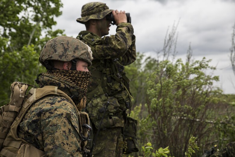 Marines with 3rd Air Naval Gunfire Liaison Company, Force Headquarters Group, Marine Forces Reserve, and Canadian Soldiers from 2 Royal Canadian Regiment search for possible enemy targets at night May 26, 2017, during exercise Maple Resolve 2017, to provide surface-to-surface as well as air-to-surface fire support. Exercise Maple Resolve is an annual, 3-week multinational simulated war, hosted by the Canadian Army bringing approximately 7,000 total NATO allies across the world to share tactics while strengthening foreign military ties.