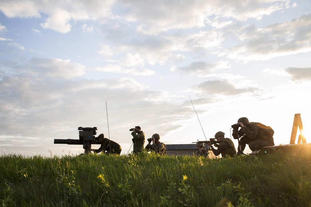 Marines with 3rd Air Naval Gunfire Liaison Company, Force Headquarters Group, Marine Forces Reserve, and Canadian Soldiers from 2 Royal Canadian Regiment search for possible enemy targets at night May 26, 2017, during exercise Maple Resolve 2017, to provide surface-to-surface as well as air-to-surface fire support. Exercise Maple Resolve is an annual, 3-week multinational simulated war, hosted by the Canadian Army bringing approximately 7,000 total NATO allies across the world to share tactics while strengthening foreign military ties.