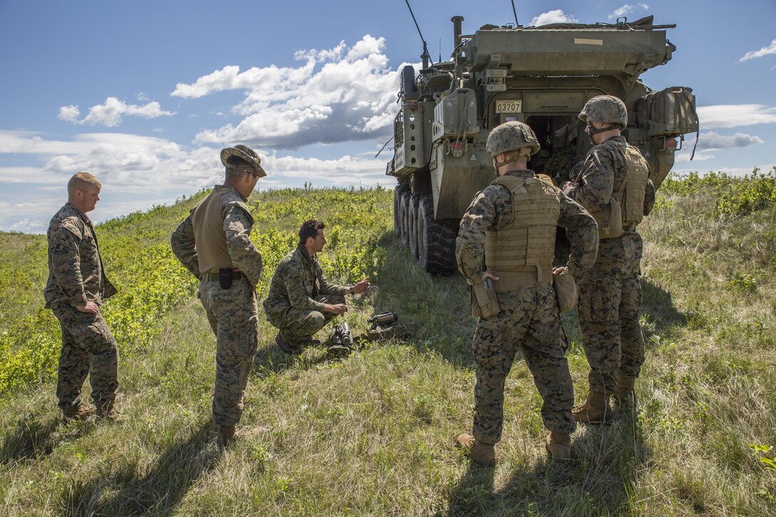 Marines with 3rd Air Naval Gunfire Liaison Company, Force Headquarters Group, Marine Forces Reserve, and Canadian Soldiers from 2 Royal Canadian Regiment search for possible enemy targets at night May 26, 2017, during exercise Maple Resolve 2017, to provide surface-to-surface as well as air-to-surface fire support. Exercise Maple Resolve is an annual, 3-week multinational simulated war, hosted by the Canadian Army bringing approximately 7,000 total NATO allies across the world to share tactics while strengthening foreign military ties.