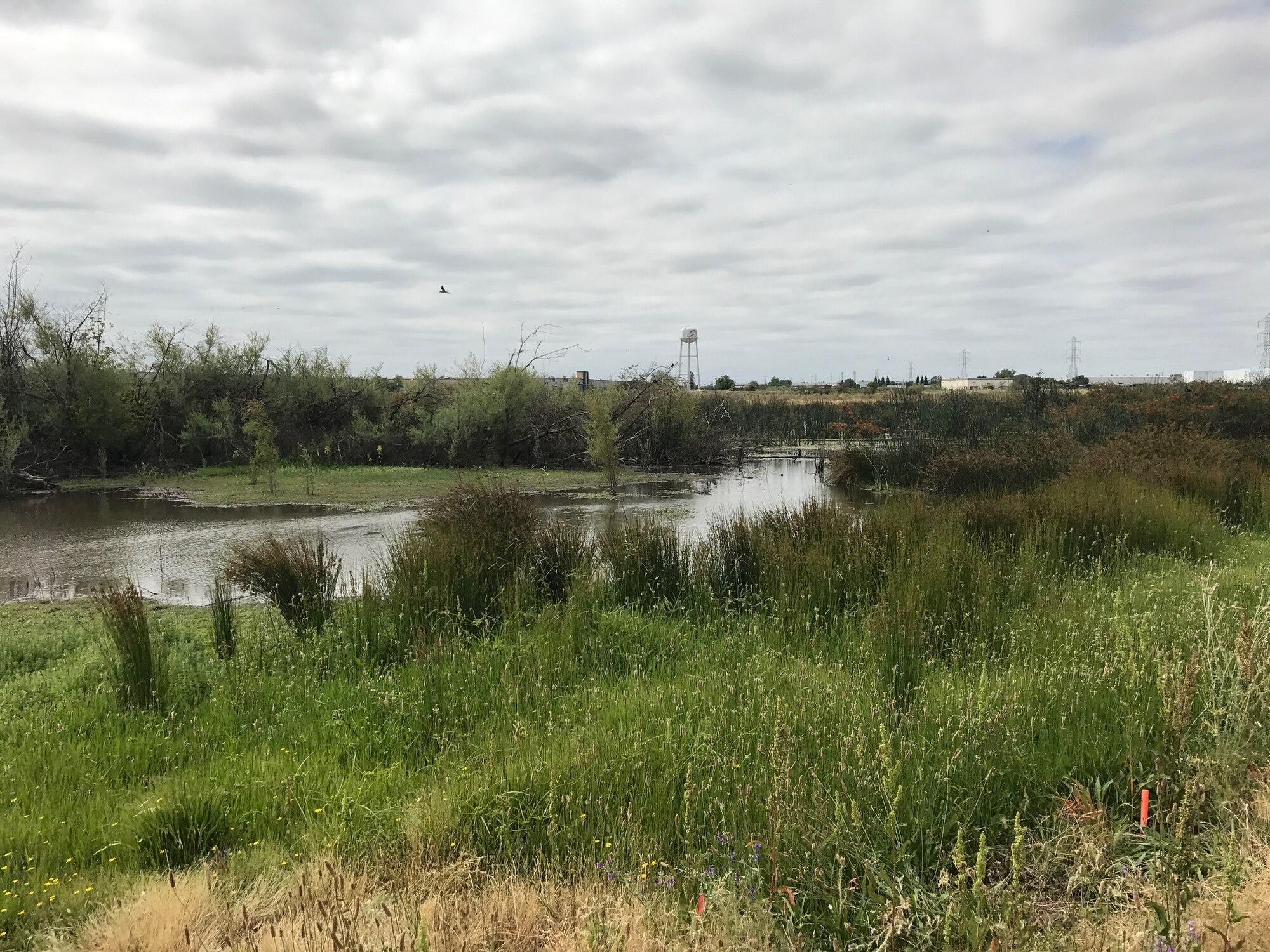 The watershed running through the West Nature Area is fed in-part by filtered, cleaned water from McClellan’s groundwater treatment plant. Many of the ponds were formed by beavers damming the creek. This area is a protected wildlife preserve and serves as an example of the Air Force’s continued commitment to environmental protection. (U.S. Air Force Photo/Alex Grotewohl)