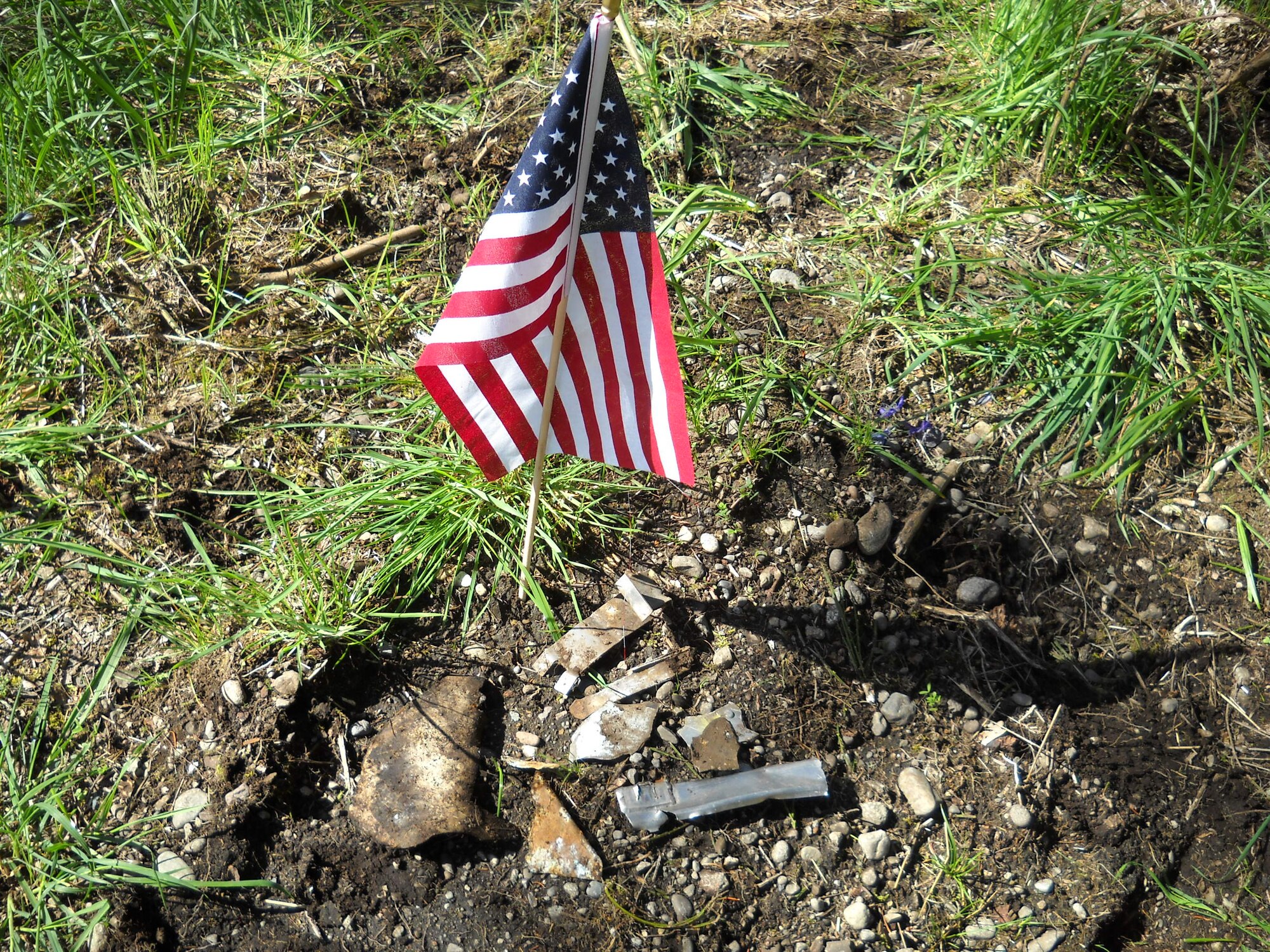 A small U.S. flag is displayed May 5, 2017, beside what is believed to be the remnants of a crashed Convair F-106A Delta Dart jet fighter near its believed crash site at Joint Base Lewis-McChord, Wash. The F-106 was piloted by Capt. Mark Van Stone, 318th Fighter Interceptor Squadron pilot, when it crashed June 24, 1980, on approach to McChord Field. (Courtesy photo) 