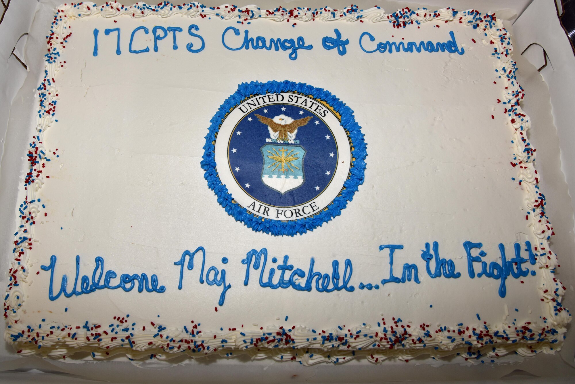 A decorated cake sits on display during the 17th Comptroller Change of Command ceremony at the Event Center on Goodfellow Air Force Base, Texas, June 2, 2017. The event welcomed its new commander Maj. Nelson Mitchell. (U.S. Air Force photo by Staff Sgt. Joshua Edwards/Released)