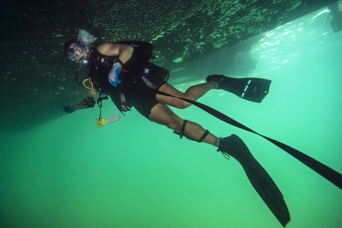 A diver swims in green waters under a ship.