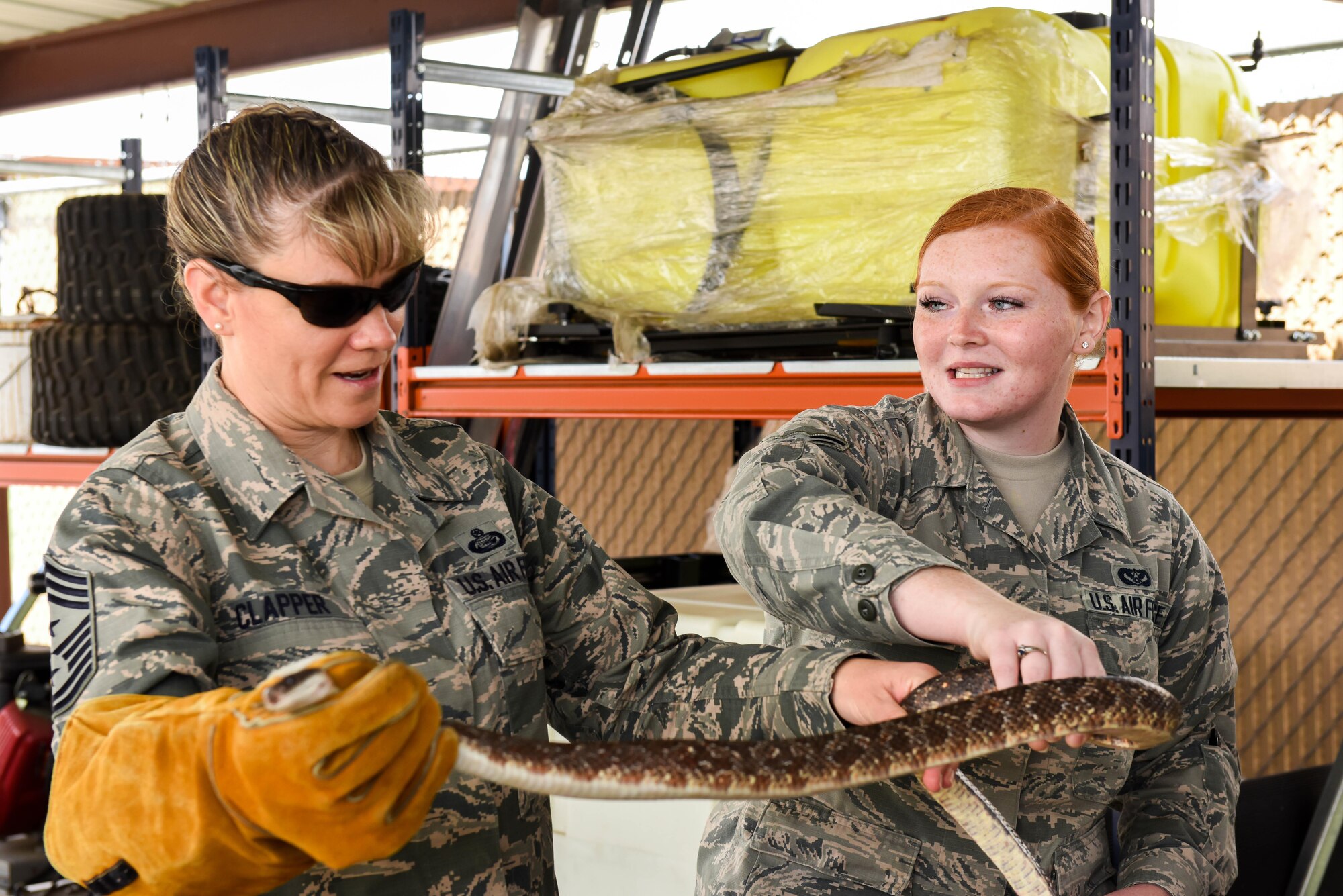 Chief Master Sgt. Theresa Clapper, 2nd Bomb Wing command chief, holds a rat snake found on Barksdale Air Force Base May 24, 2017. The 2nd Civil Engineer Squadron Pest Management office kept the rat snake and uses it for training initiatives such as getting new Airmen to recognize and familiarize themselves with venomous and non-venomous snakes. (U.S. Air Force photo/Airman 1st Class Sydney Bennett)
