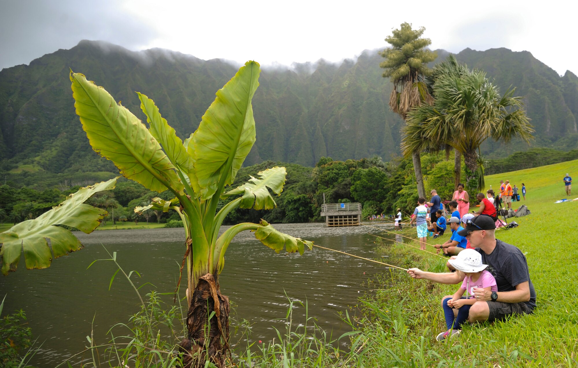 Families line-up along the Ho'omaluhia Botanical Gardens reservoir during the 18th Annual Friends of Hickam Keiki Fishing Tournament in Kaneohe, Hawaii, May 31, 2017. The tournament is a long-standing tradition that unites the Airmen of the 15th Wing with the Friends of Hickam to build stronger relationships between the base and the community. (U.S. Air Force photo by Tech. Sgt. Heather Redman)