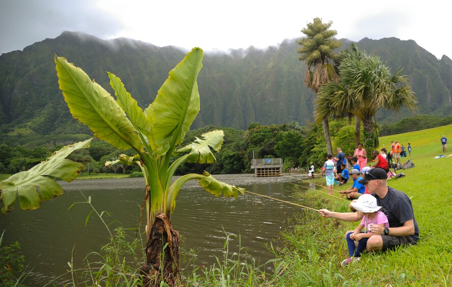 Families line-up along the Ho'omaluhia Botanical Gardens reservoir during the 18th Annual Friends of Hickam Keiki Fishing Tournament in Kaneohe, Hawaii, May 31, 2017. The tournament is a long-standing tradition that unites the Airmen of the 15th Wing with the Friends of Hickam to build stronger relationships between the base and the community. (U.S. Air Force photo by Tech. Sgt. Heather Redman)