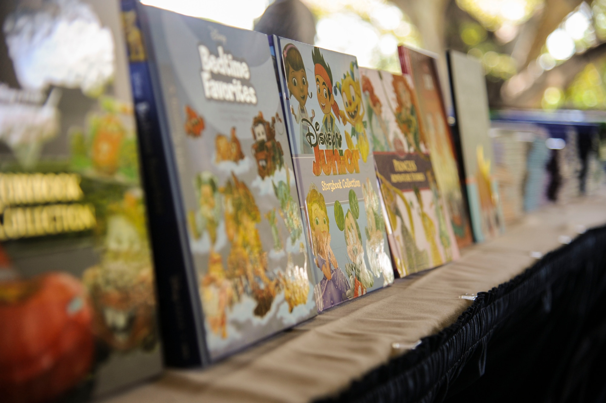 Hundreds of books line tables at the Hickam Officers Club for the Books on Bases event hosted by Blue Star Families, Joint Base Pearl Harbor-Hickam, Hawaii, June 2, 2017.  Blue Star Families program donates books to military children, base libraries, Department of Defense schools, and military-impacted public schools and libraries across the world. (U.S. Air Force photo by Tech. Sgt. Heather Redman)
