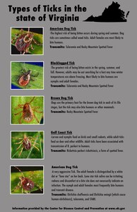 There are five common types of ticks in the state of Virginia that have the possibility to host many different diseases. Residents should be aware of the types of ticks there are in the area and what diseases they carry, in case of falling ill and knowing the symptoms. (U.S. Air Force graphic by
Staff Sgt. Carlin Leslie)
