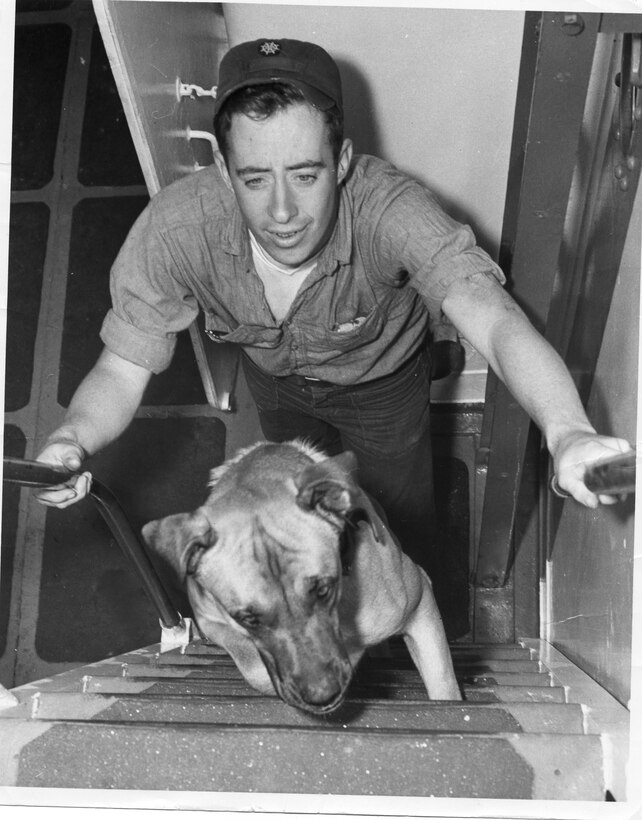 Here we have Dog First Class Cecil, of the cutter Perseus (WPC-114) about 1955.  He's showing SN Roger Goad the way to the bridge.

 Cecil was "supposedly" the son of Chief Dog Maxmillian, the famous mascot of the cutter Northwind, and an unnamed collie. Cecil had a distinguished career at sea on board Perseus from 1955-1958.

Photograph provided by Roger Goad