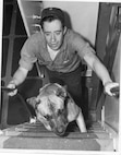 Here we have Dog First Class Cecil, of the cutter Perseus (WPC-114) about 1955.  He's showing SN Roger Goad the way to the bridge.

 Cecil was "supposedly" the son of Chief Dog Maxmillian, the famous mascot of the cutter Northwind, and an unnamed collie. Cecil had a distinguished career at sea on board Perseus from 1955-1958.

Photograph provided by Roger Goad