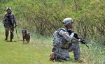 Military Working Dog Handler, Pvt. Sarah Grills and her K-9 partner Baron, a patrol explosives detector dog with the 520th MWD Detachment, 728th Military Police Battalion, 8th MP Brigade, 8th Theater Sustainment Command, conduct a route clearing mission during 58th MP Company's, 728th MP Bn., validation exercise (VALEX) May 22-26, at Makua Military Reservation, here. The VALEX was conducted as part of the company's training for their upcoming deployment to Guam. 