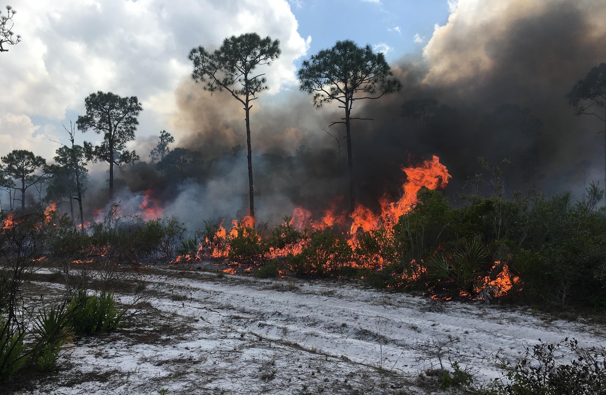 An Air Force Wildland Fire Center team, supported by teams from the Florida Forest Service and the U.S. Fish and Wildlife Service, is working to contain four wildfires on the Avon Park Air Force Range in Florida. The Avon Park Wildland Support Module’s prescribed fire activities at strategic locations have significantly influenced the outcome of the wildfires by mitigating wildfire damage. (U.S. Air Force photo)