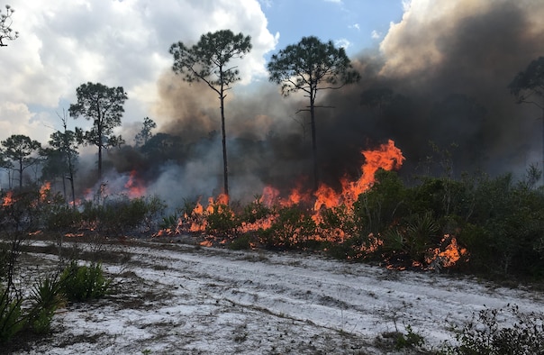 An Air Force Wildland Fire Center team, supported by teams from the Florida Forest Service and the U.S. Fish and Wildlife Service, is working to contain four wildfires on the Avon Park Air Force Range in Florida. The Avon Park Wildland Support Module’s prescribed fire activities at strategic locations have significantly influenced the outcome of the wildfires by mitigating wildfire damage. (U.S. Air Force photo)