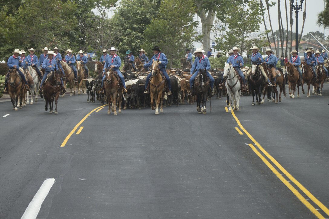 U.S. Marine Corps Brig. Gen. Kevin J. Killea, Marine Corps Installations West, Marine Corps Base, Camp Pendleton, and members of the San Diego County fair participate in a cattle drive at the Gas Lamp District in San Diego, Calif., June 3, 2017. The San Diego County Fair hosted the drive as part of the 150th anniversary and to promote the county fair that opened June 2. (U.S. Marine Corps photo by Lance Cpl. Brooke Woods)