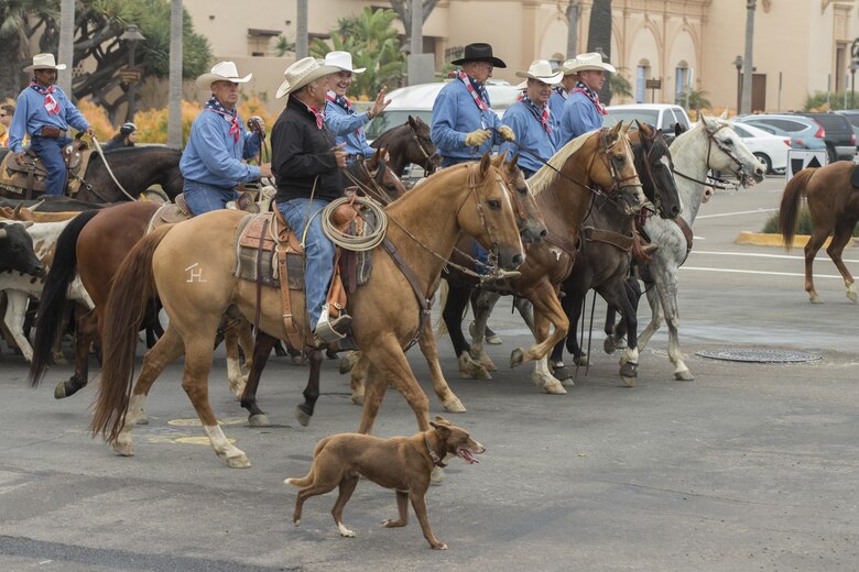 U.S. Marine Corps Brig. Gen. Kevin J. Killea, Marine Corps Installations West, Marine Corps Base, Camp Pendleton, and members of the San Diego County Fair participate in a cattle drive through the Gas Lamp District in San Diego, Calif., June 3, 2017. The San Diego County Fair hosted the drive as a part of the gas lamp district's 150th anniversary and to promote the county fair that opened June 2. (U.S. Marine Corps photo by Lance Cpl. Brooke Woods)