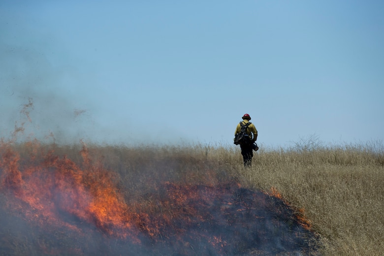 Over 200 firefighters with the U.S. Forest Service, Orange County Fire Authority, Cal Fire, and local San Diego County agencies gathered on Camp Pendleton, Calif. to participate in wildfire firefighting methods training,  June 5, 2017. This training is conducted to further enhance their abilities to effectively and efficiently combat wildfires. Significant wildland fires throughout San Diego County in October of 2007 lead officials to seek a partnership between military and civilian aviation and firefighting assets to better manage crisis aboard regional military installations and in the surrounding communities. Since then, Camp Pendleton security and safety agencies, and local departments have been working together to streamline response and integrated communication efforts to provide ready, trained and certified military and civilian resources to combat wildland fires in the region, culminating with a cooperative effort to extinguish wildland fires. (U.S. Marine Corps photo by Lance Cpl. Michael LaFontaine)
