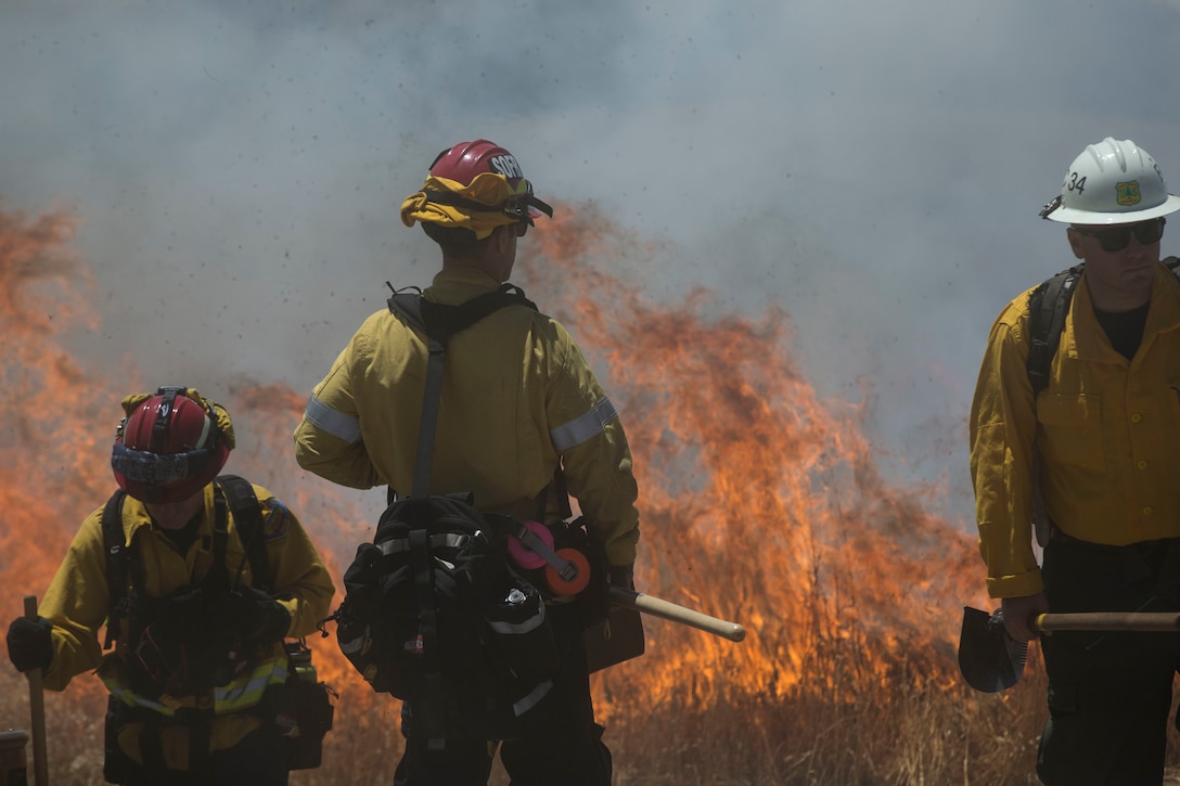 Over 200 firefighters with the U.S. Forest Service, Orange County Fire Authority, Cal Fire, and local San Diego County agencies gathered on Camp Pendleton, Calif. to participate in wildfire firefighting methods training, June 5, 2017. This training is conducted to further enhance their abilities to effectively and efficiently combat wildfires. Significant wildland fires throughout San Diego County in October of 2007 lead officials to seek a partnership between military and civilian aviation and firefighting assets to better manage crisis aboard regional military installations and in the surrounding communities. Since then, Camp Pendleton security and safety agencies, and local departments have been working together to streamline response and integrated communication efforts to provide ready, trained and certified military and civilian resources to combat wildland fires in the region, culminating with a cooperative effort to extinguish wildland fires.(U.S. Marine Corps photo by Lance Cpl. Michael LaFontaine)