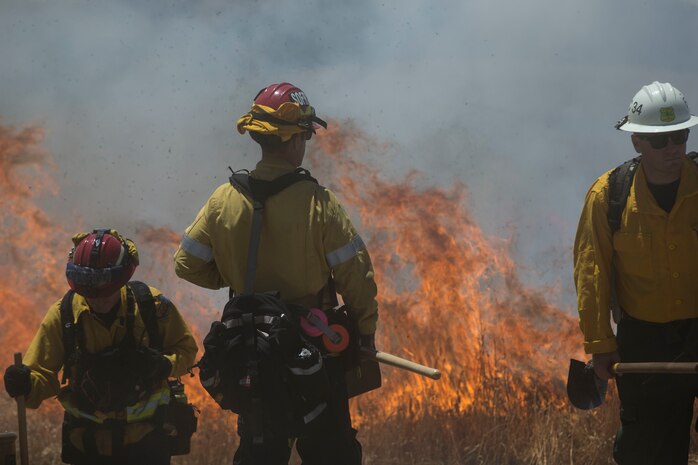 Over 200 firefighters with the U.S. Forest Service, Orange County Fire Authority, Cal Fire, and local San Diego County agencies gathered on Camp Pendleton, Calif. to participate in wildfire firefighting methods training, June 5, 2017. This training is conducted to further enhance their abilities to effectively and efficiently combat wildfires. Significant wildland fires throughout San Diego County in October of 2007 lead officials to seek a partnership between military and civilian aviation and firefighting assets to better manage crisis aboard regional military installations and in the surrounding communities. Since then, Camp Pendleton security and safety agencies, and local departments have been working together to streamline response and integrated communication efforts to provide ready, trained and certified military and civilian resources to combat wildland fires in the region, culminating with a cooperative effort to extinguish wildland fires.(U.S. Marine Corps photo by Lance Cpl. Michael LaFontaine)