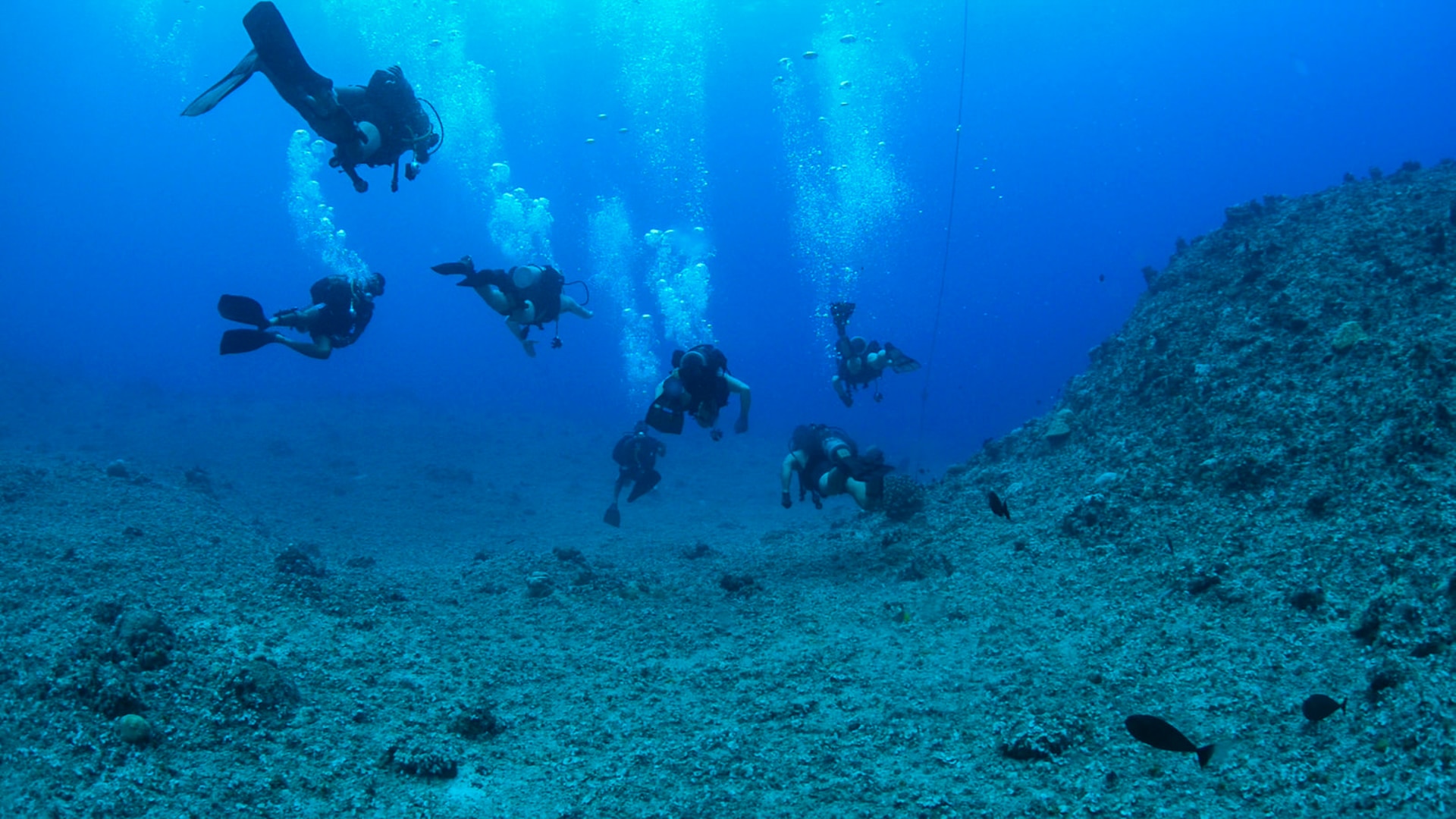 In this file photo, Explosive Ordnance Disposal technicians, assigned to Explosive Ordnance Disposal Mobile Unit (EODMU) 5, swim the ocean floor of the Orote Peninsula during a joint diving exercise with Sri Lanka navy personnel off the coast of Guam, April 14, 2016. EODMU 5 sailors, and Sri Lanka navy divers have combined in past military exercises as part of a coordinated effort by Commander, Task Force (CTF) 75 to strengthen U.S. and foreign relationships. 