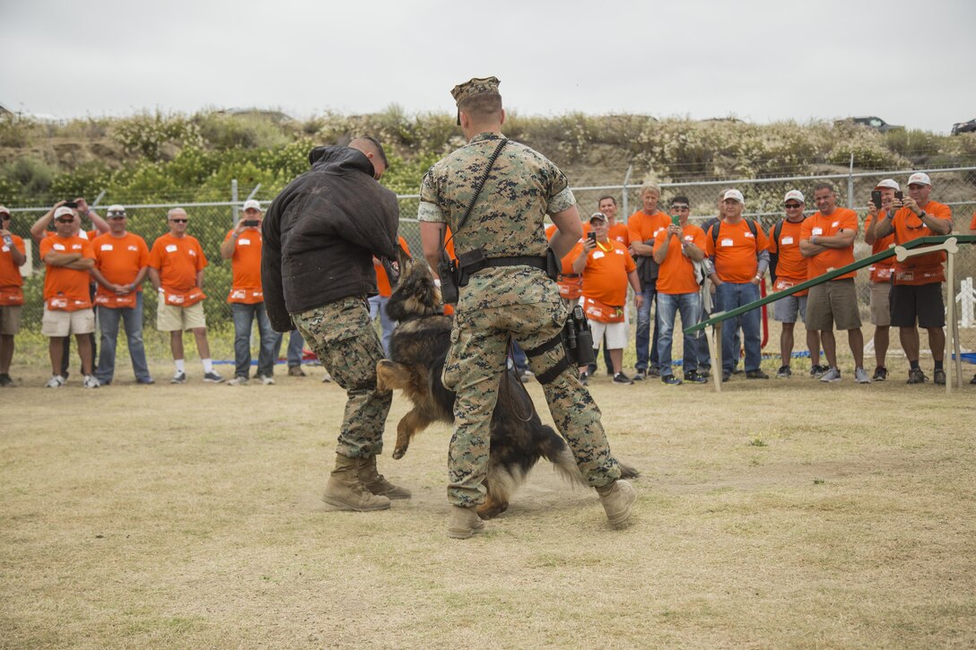 U.S. Marine Cpl Tyler Mantia with Camp Pendleton Military Police K9 Unit demonstrates his dog’s capabilities during the K9 upgrade project aboard Camp Pendleton, Calif, June 7, 2017. Volunteers painted and repaired kennels as well as constructed a new shade structure and obstacle courses to increase the quality of training.
