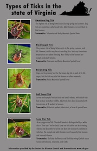 There are five common types of ticks in the state of Virginia that have the possibility to host many different diseases. Residents should be aware of the types of ticks there are in the area and what diseases they carry, in case of falling ill and knowing the symptoms. (U.S. Air Force graphic by Staff Sgt. Carlin Leslie) 
