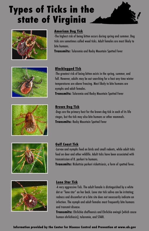 Are You Ready For Tick Season Joint Base Langley Eustis