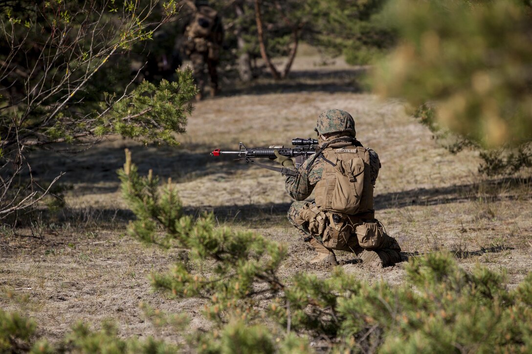 VENTSPILS, Latvia - Marines with Bravo Company, 1st Battalion, 23rd Marine Regiment, 4th Marine Division, Marine Forces Reserve and 4th Air Naval Gunfire Liaison Company, Force Headquarters Group, Marine Forces Reserve, execute a amphibious assault training exercise in Ventspils, Latvia, during Exercise Saber Strike 17, June 6, 2017. The beach landings took place concurrently between exercise Saber Strike and Baltic Operations. Exercise Saber Strike 17 is an annual combined-joint exercise conducted at various locations throughout the Baltic region and Poland. The combined training prepares NATO Allies and partners to effectively respond to regional crises and to meet their own security needs by strengthening their borders and countering threats. (U.S. Marine Corps photo by Lance Cpl. Ricardo Davila/Released)