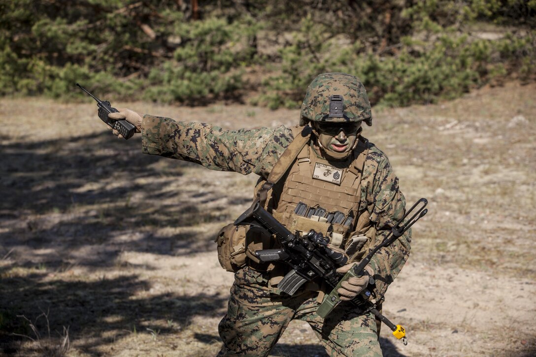 VENTSPILS, Latvia - Marines with Bravo Company, 1st Battalion, 23rd Marine Regiment, 4th Marine Division, Marine Forces Reserve and 4th Air Naval Gunfire Liaison Company, Force Headquarters Group, Marine Forces Reserve, execute a amphibious assault training exercise in Ventspils, Latvia, during Exercise Saber Strike 17, June 6, 2017. The beach landings took place concurrently between exercise Saber Strike and Baltic Operations. Exercise Saber Strike 17 is an annual combined-joint exercise conducted at various locations throughout the Baltic region and Poland. The combined training prepares NATO Allies and partners to effectively respond to regional crises and to meet their own security needs by strengthening their borders and countering threats. (U.S. Marine Corps photo by Lance Cpl. Ricardo Davila/Released)