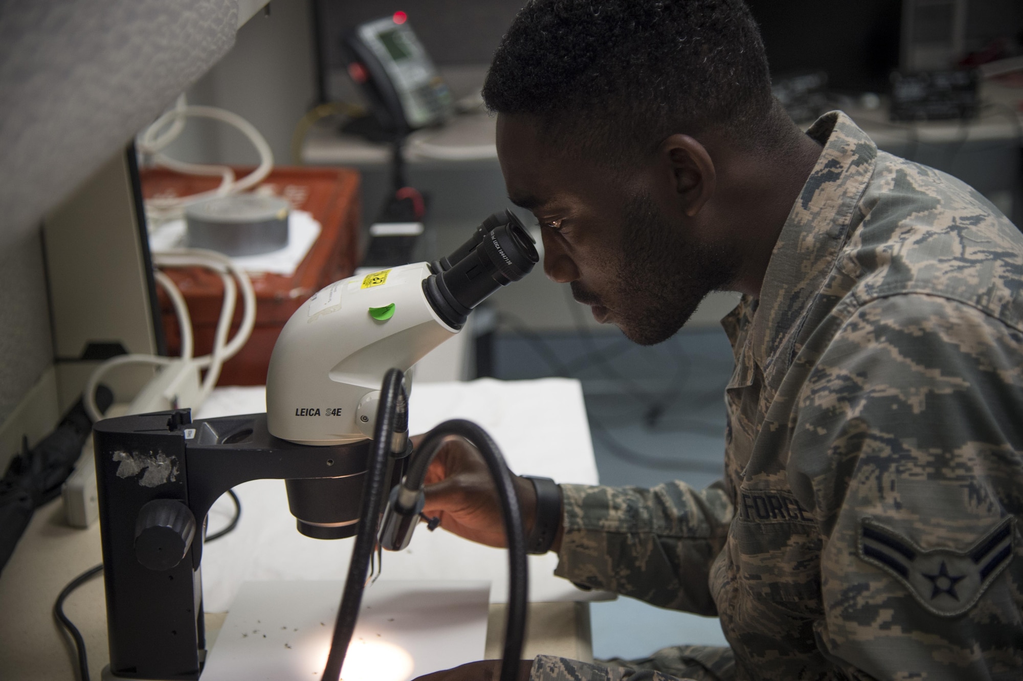 Airman 1st Class Kofi Adansi, 779th Medical Group public health technician, inspects mosquitos with a microscope at Joint Base Andrews, Md., June 8, 2017. The mosquitoes are then sent off to a lab where they are tested for diseases native to the area. (U.S. Air Force photo by Senior Airman Mariah Haddenham) 