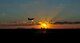 A U.S. Air Force F-16 Fighting Falcon from the 8th Fighter Wing, 35th Fighter Squadron, take-off during at Kunsan Air Base, Republic of Korea. We train to employ airpower to deter aggression, preserve the Armistice and defend the Republic of Korea. (U.S. Air Force photo by Senior Airman Colville McFee/Released)