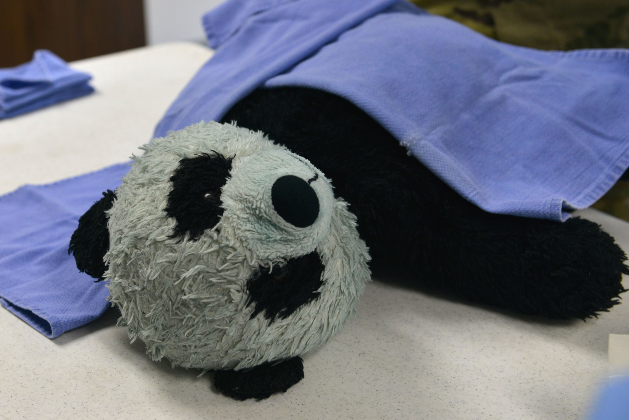 A teddy bear lays on a table prior to being sutured at the Shaw Air Force Base, S.C., Veterinary Treatment Facility (VTF), June 1, 2017. The Shaw VTF staff led “Operation Repair the Bear”, allowing Soldiers to practice suture skills on teddy bears to prepare them to support veterinarians in a deployed environment. (U.S. Air Force photo by Airman 1st Class Destinee Sweeney)