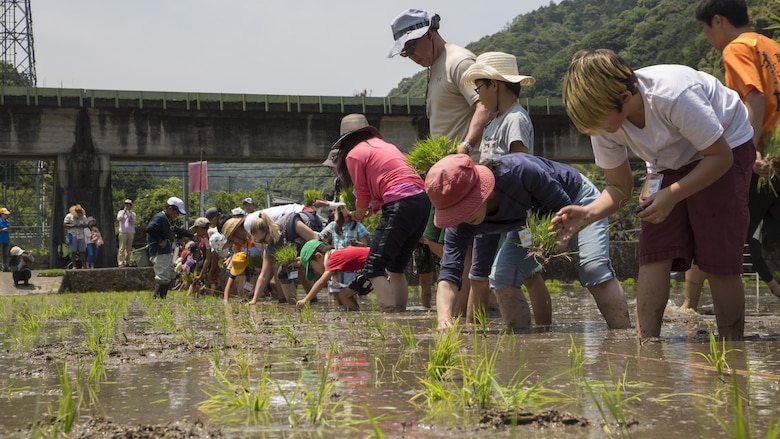 Marine Corps Air Station Iwakuni residents and local Japanese volunteers participate in a Cultural Adaptation Program rice-planting event in Iwakuni City, Japan, June 10, 2017. Manually planting rice has been replaced with machines and other innovations to produce the crop on a massive scale, so taking the time to plant each one is as rare of an experience for many Japanese people today as it is for Americans. Station residents have been participating in the event for more than 10 years. (U.S. Marine Corps photo by Lance Cpl. Carlos Jimenez)