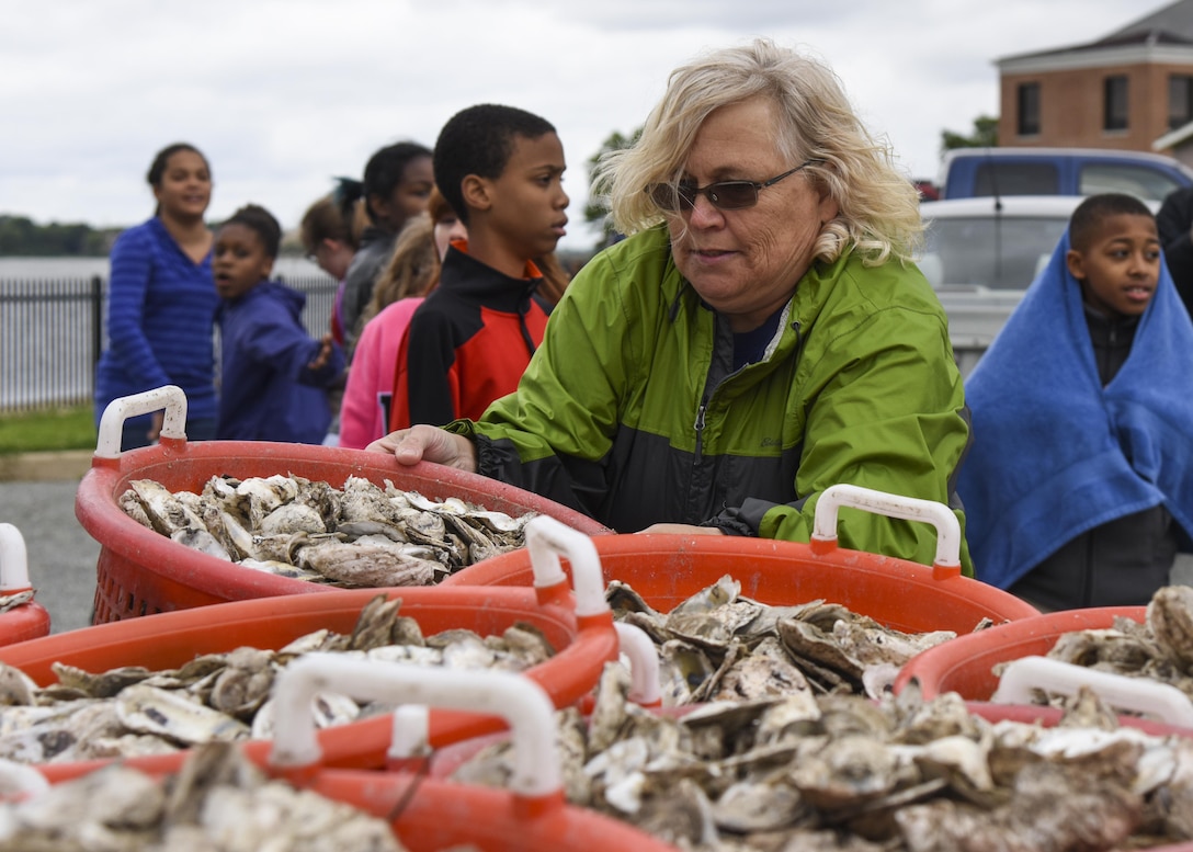 Betsy McAllister, Hampton City Schools science teacher specialist, prepares for an oyster planting event at Joint Base Langley-Eustis, Va., June 8, 2017. As generations of oysters settle on top of each other and grow, they form reefs that provide structured habitat for many species of fish and crabs. (U.S. Air Force photo/Airman 1st Class Anthony Nin Leclerec)