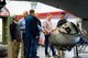 Chet Hollingsworth, Air Mobility Command Museum tour guide, talks with Joint Base Lewis-McChord, Wash., honorary commanders and civic leaders by a B-17G Flying Fortress June 8, 2017 at the AMC Museum on Dover Air Force Base, Del. Hollingsworth answered questions from the group about the Sperry Ball Turret used by B-17 gunners. (U.S. Air Force photo by Roland Balik)