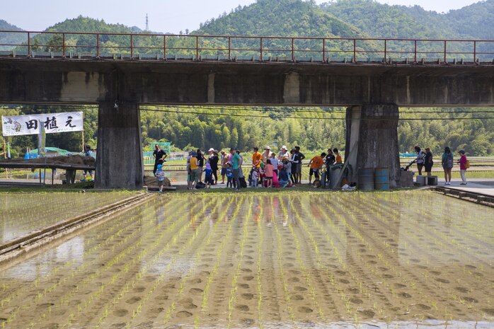 Marine Corps Air Station Iwakuni residents and local Japanese volunteers prepare to participate in a Cultural Adaptation Program rice-planting event in Iwakuni City, Japan, June 10, 2017. The event is held annually in June, after the rice seeds that were sown during April and May are grown and ready to be planted. Station residents have been participating in the event for more than 10 years. (U.S. Marine Corps photo by Lance Cpl. Carlos Jimenez)