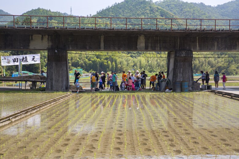 Marine Corps Air Station Iwakuni residents and local Japanese volunteers prepare to participate in a Cultural Adaptation Program rice-planting event in Iwakuni City, Japan, June 10, 2017. The event is held annually in June, after the rice seeds that were sown during April and May are grown and ready to be planted. Station residents have been participating in the event for more than 10 years. (U.S. Marine Corps photo by Lance Cpl. Carlos Jimenez)