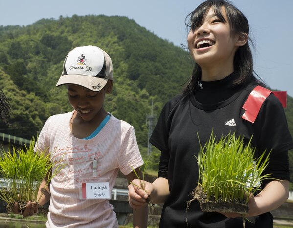 Marine Corps Air Station Iwakuni residents and local Japanese volunteers participate in a Cultural Adaptation Program rice-planting event in Iwakuni City, Japan, June 10, 2017. The event is held annually in June, after the rice seeds that were sown during April and May are grown and ready to be planted. Station residents have been participating in the event for more than 10 years. (U.S. Marine Corps photo by Lance Cpl. Carlos Jimenez)