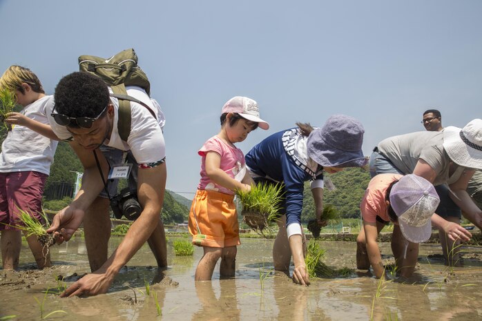 Marine Corps Air Station Iwakuni residents and local Japanese volunteers participate in a Cultural Adaptation Program rice-planting event in Iwakuni City, Japan, June 10, 2017. The event is held annually in June, after the rice seeds that were sown during April and May are grown and ready to be planted. Station residents have been participating in the event for more than 10 years. (U.S. Marine Corps photo by Lance Cpl. Carlos Jimenez)