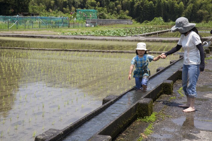 A local Japanese child washes her feet after participating in a Cultural Adaptation Program rice-planting event in Iwakuni City, Japan, June 10, 2017. Cultivating rice takes 140 days of a great amount of care. It’s a process that involves preparing rice paddies, planting seeds and plants, harvesting them a few months later, then drying, hulling, milling and finally enriching the rice. Station residents have been participating in the event for more than 10 years. (U.S. Marine Corps photo by Lance Cpl. Carlos Jimenez)