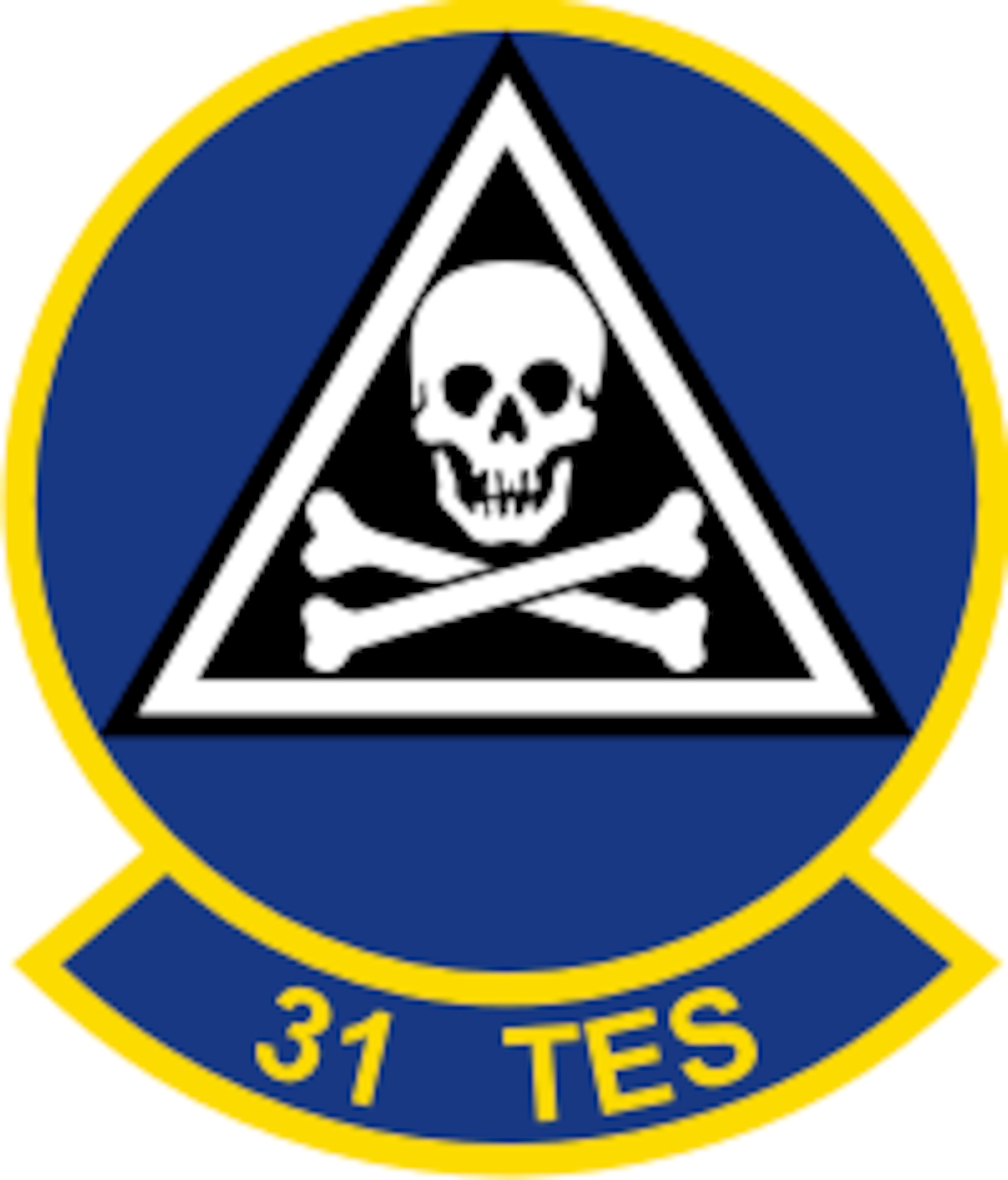 31st Test and Evaluation Squadron (U.S. Air Force graphic)