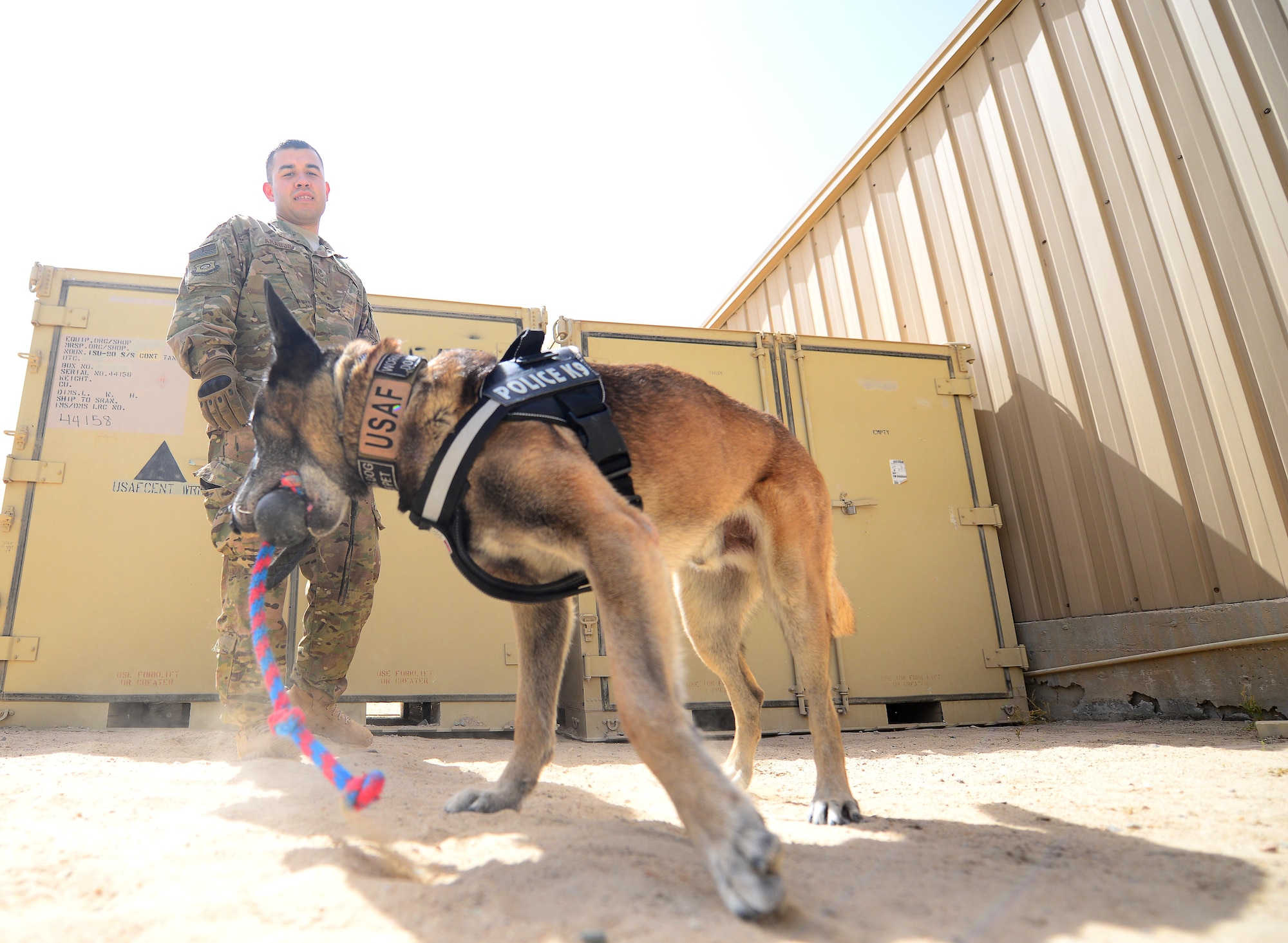 U.S. Air Force Senior Airman Omar Araujo, a military working dog handler and his partner Syrius a military working dog assigned to the 407th Expeditionary Security Forces Squadron play fetch during some down time in Southwest Asia on May 23, 2017. Araujo and Syrius have been partners for about a year now and are deployed in support of Operation Inherent Resolve. Military working dogs are the first line of defense when it comes to explosive detection and provide security sweeps throughout the installation. (U.S. Air Force photo by Tech Sgt. Andy M. Kin)