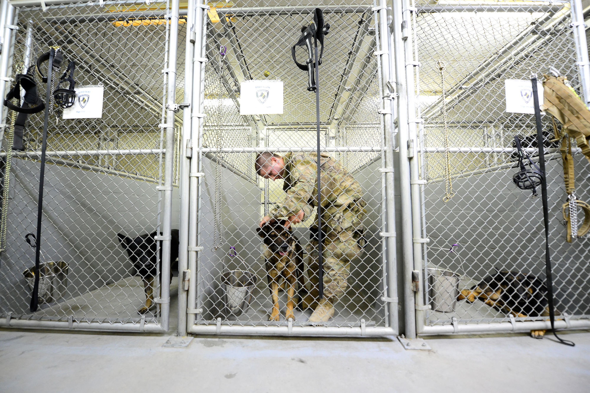 U.S. Air Force Senior Airman Carlton Isaacson, a military working dog handler assigned to the 407th Expeditionary Security Forces Squadron fastens the leash on his military working dog Egon, prior to patrols in Southwest Asia on May 23, 2017. Isaacson and Egon have been partners for two years now and are deployed in support of Operation Inherent Resolve. Military working dogs are the first line of defense when it comes to explosive detection and provide security sweeps throughout the installation. (U.S. Air Force photo by Tech Sgt. Andy M. Kin)