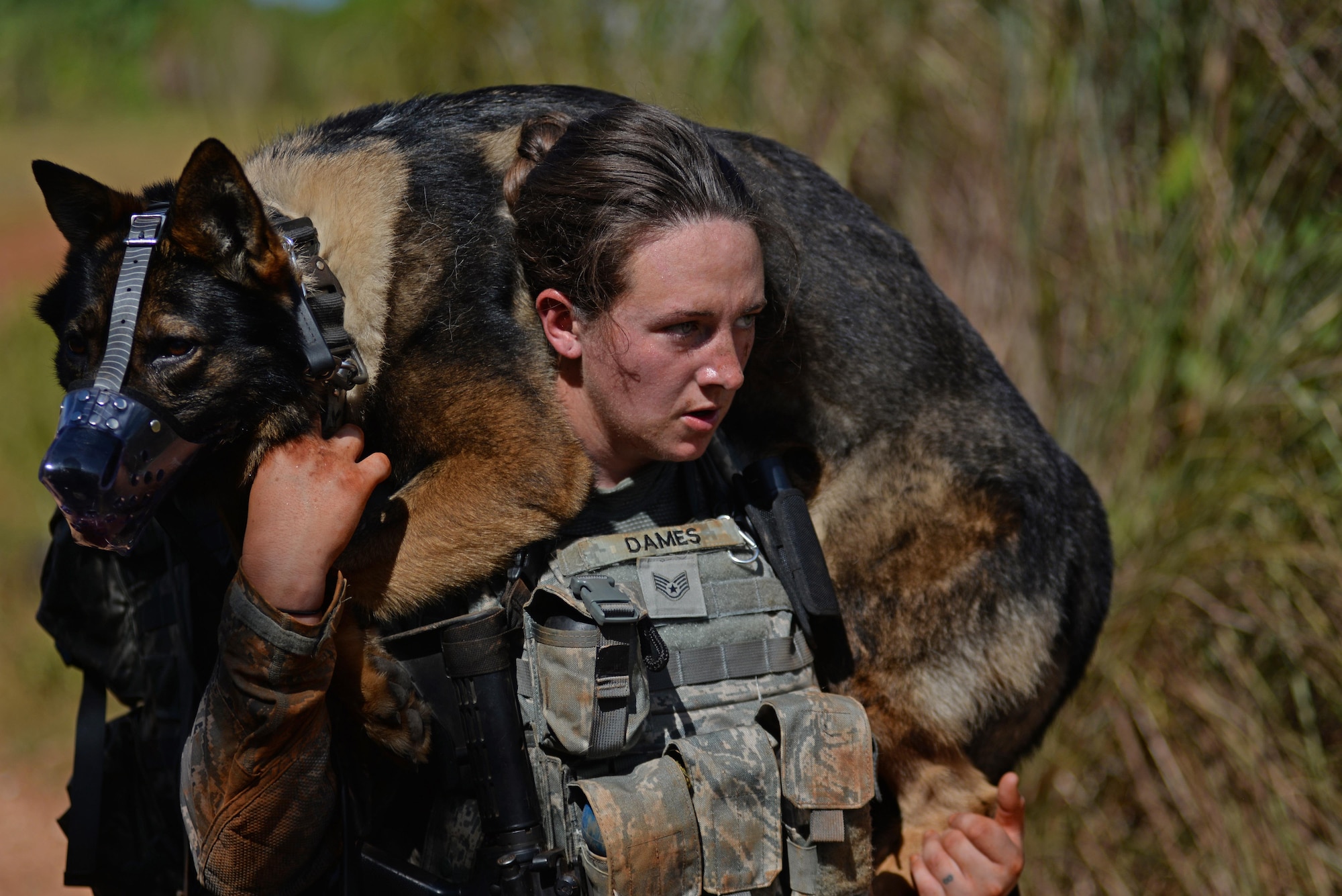 U.S. Air Force Staff Sgt. Victoria Dames, a 35th Security Forces Squadron military working dog handler, carries MWD Elvis during the second annual Security Forces Advanced Combat Skills Assessment at Andersen Air Force Base, Guam, June 6, 2017. The Defenders Challenge provided Airmen with invaluable interaction with other security forces members by exchanging tactics and skills between those in attendance. (U.S. Air Force photo by Airman 1st Class Gerald R. Willis)