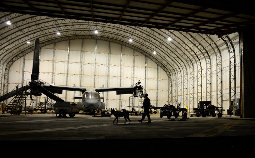 U.S. Air Force Senior Airman Omar Araujo, a military working dog handler and his partner Syrius a military working dog assigned to the 407th Expeditionary Security Forces Squadron search in and around aircraft hangars during security sweeps in Southwest Asia on May 23, 2017. Araujo and Syrius have been partners for about a year now and are deployed in support of Operation Inherent Resolve. Military working dogs are the first line of defense when it comes to explosive detection and provide security sweeps throughout the installation. (U.S. Air Force photo by Tech Sgt. Andy M. Kin)
